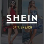 SHEIN日本半托管全解析：中国卖家必看的800万用户市场掘金路线图（附税务/选品/物流避坑指南）